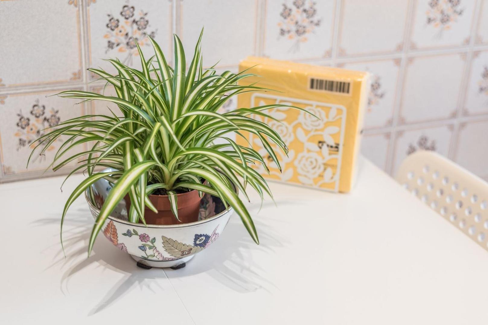 شقة Guestready - Eclectic Haven In The Heart Of بورتو المظهر الخارجي الصورة
